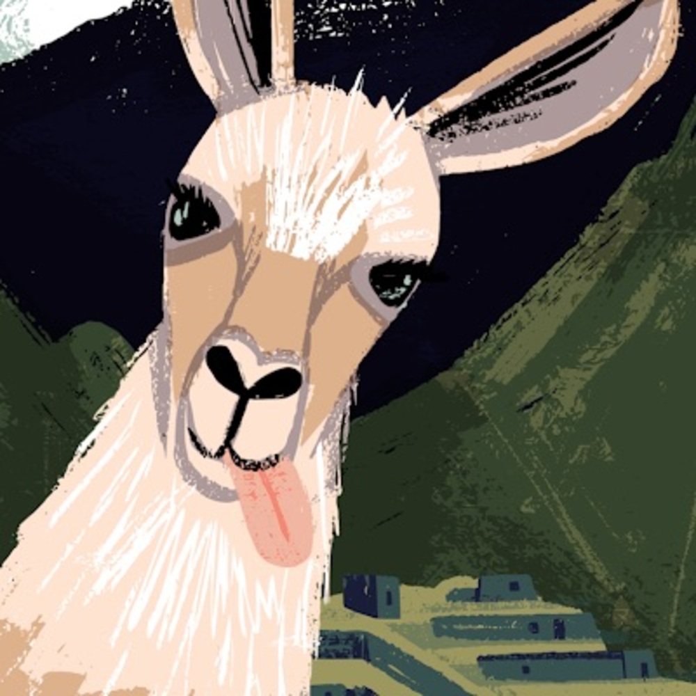 Meet your Posher, Avery